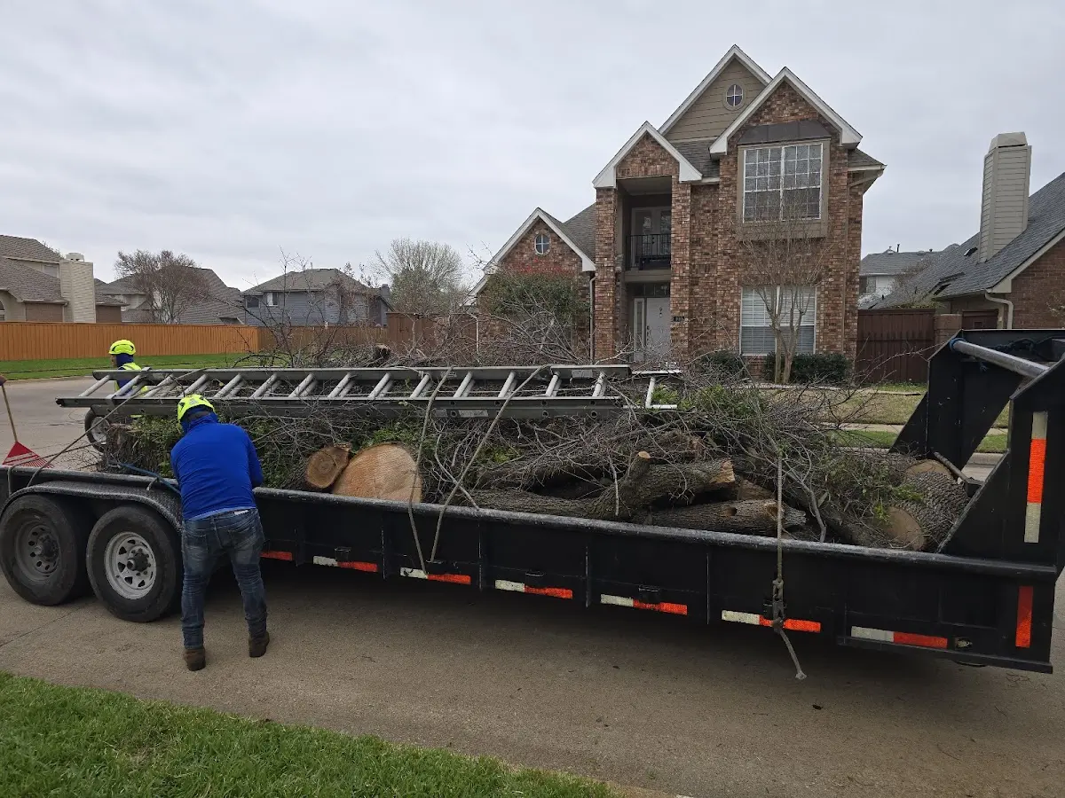 Expert Tree Fertilization with proper safety equipment in Newfane